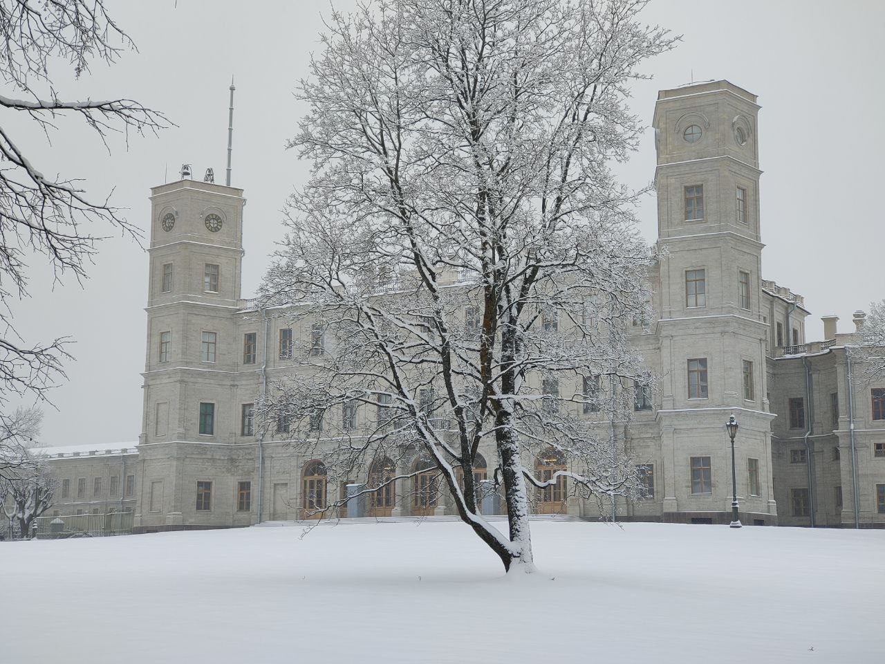 Бывший Придворный оркестр возвращается в Гатчинский дворец спустя 130 лет